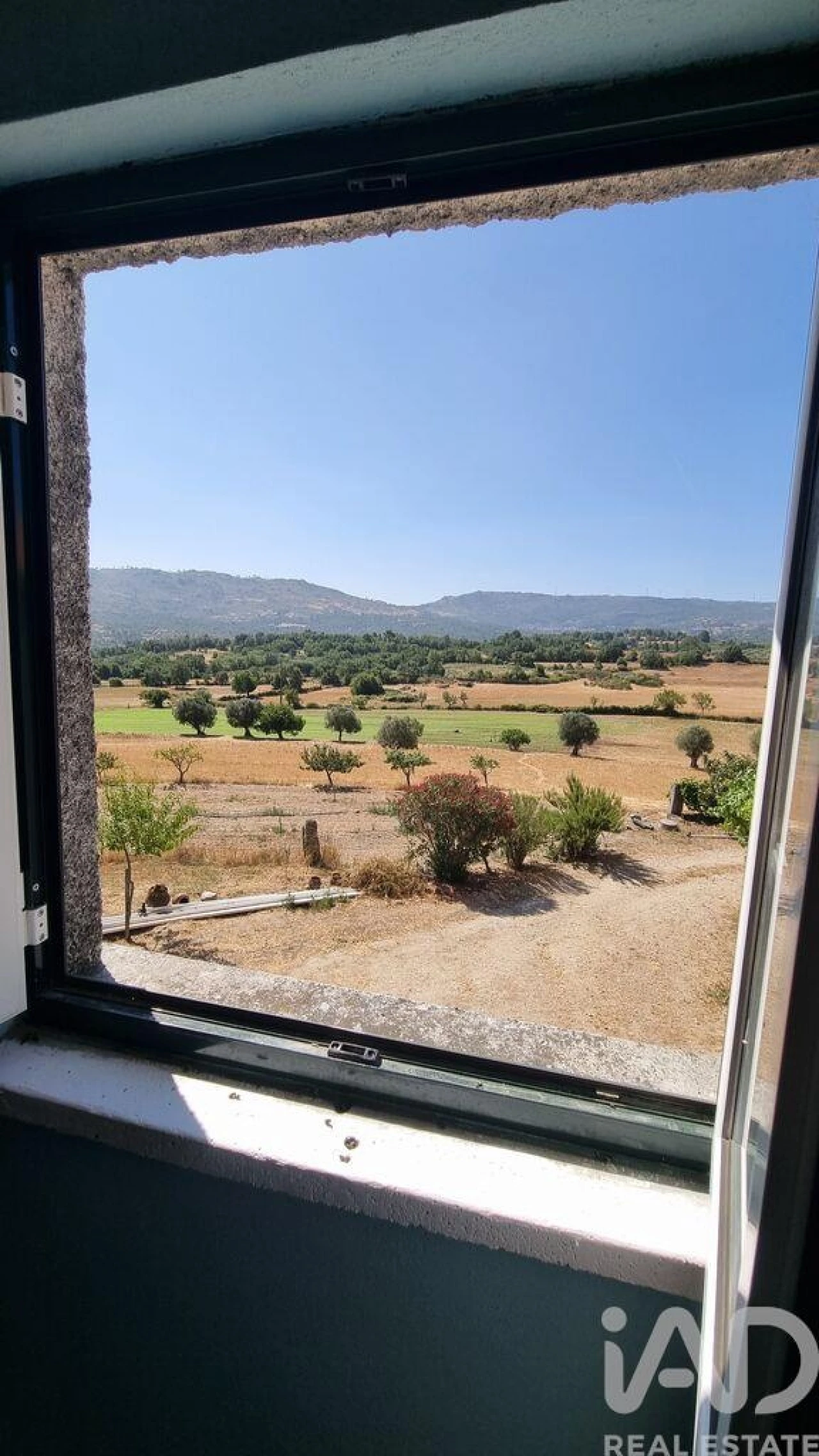 Quinta T7 para Venda em Lajeosa do Mondego Foto 16