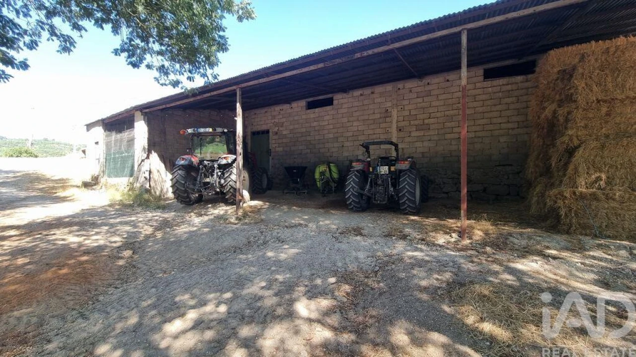 Quinta T7 para Venda em Lajeosa do Mondego Foto 34