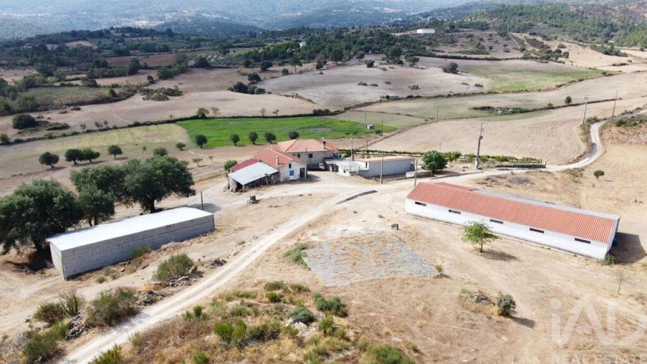 Quinta T7 para Venda em Lajeosa do Mondego Foto 40