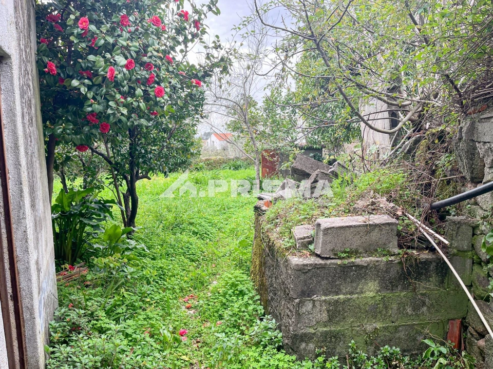 Moradia T5 para Venda em Louriçal do Campo Foto 19