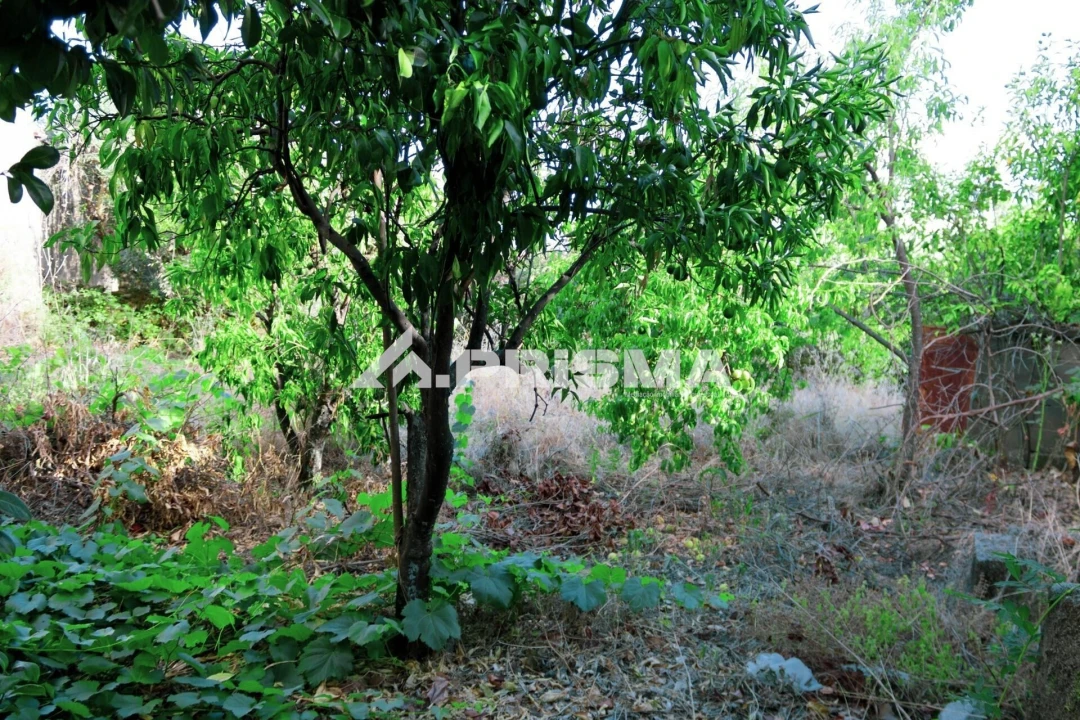 Moradia T5 para Venda em Louriçal do Campo Foto 10