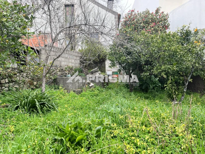 Moradia T5 para Venda em Louriçal do Campo Foto 24