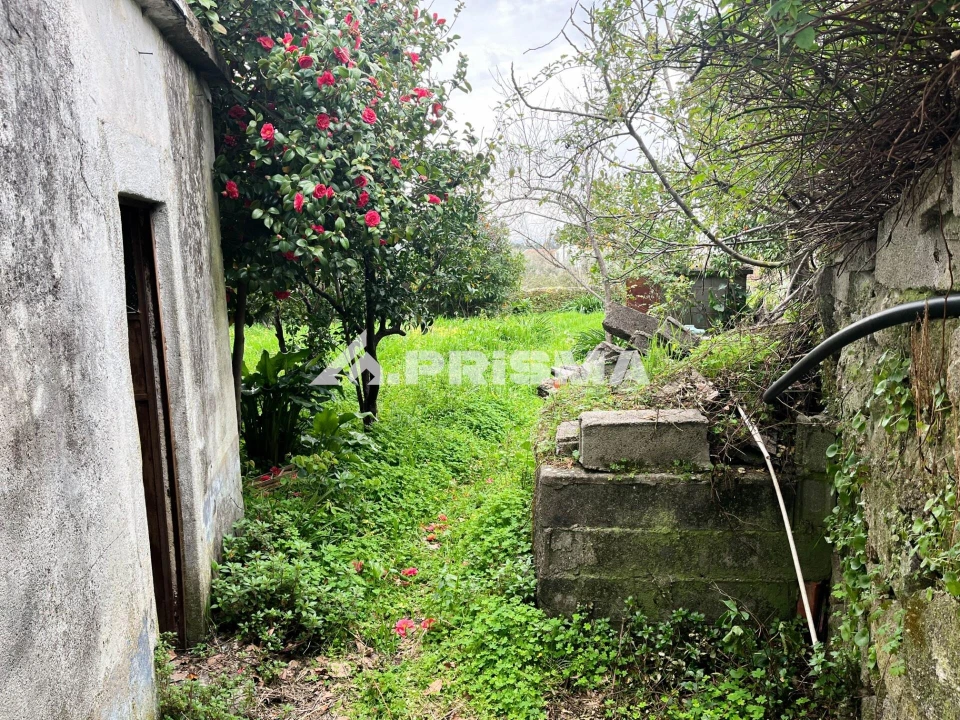 Moradia T5 para Venda em Louriçal do Campo Foto 23