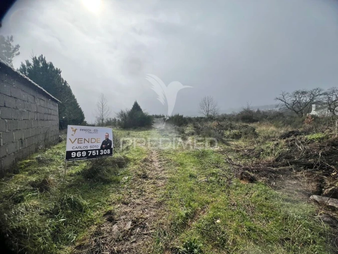 Terreno para Venda em Penedono e Granja Foto 2