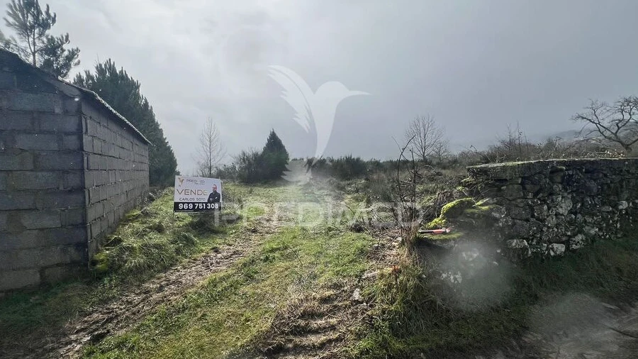 Terreno para Venda em Penedono e Granja