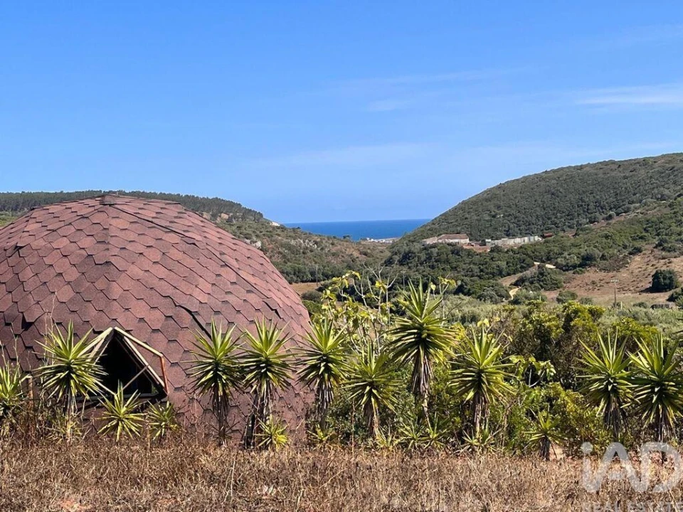 Terreno para Venda em Barão de São Miguel Foto 7