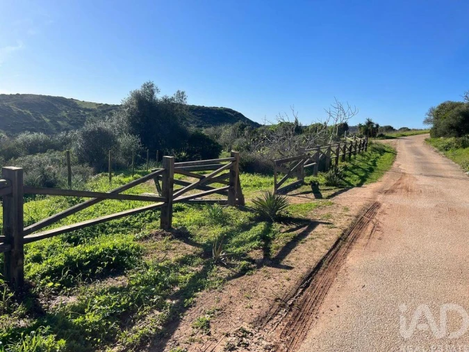 Terreno para Venda em Barão de São Miguel Foto 16