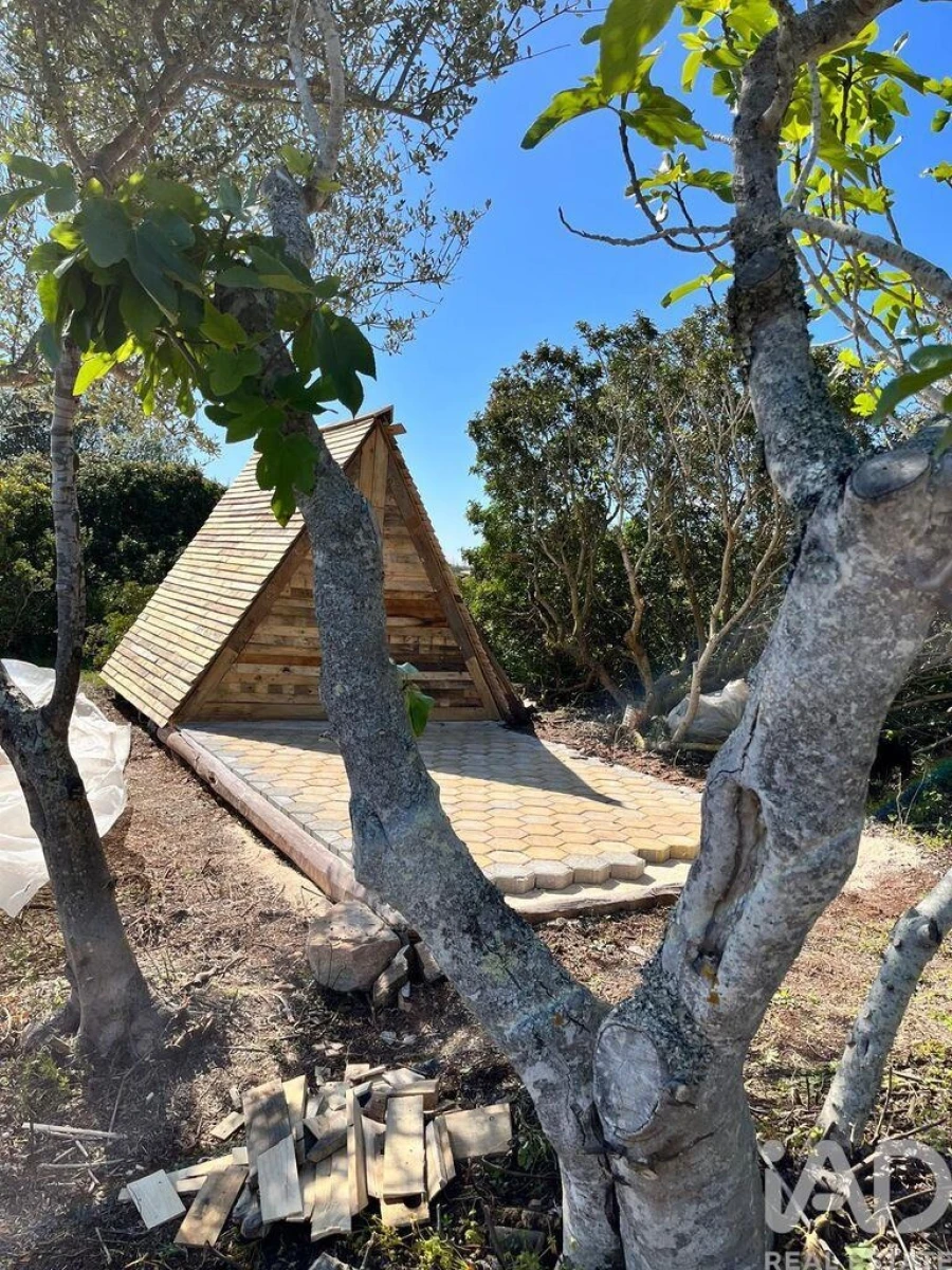 Terreno para Venda em Barão de São Miguel Foto 9
