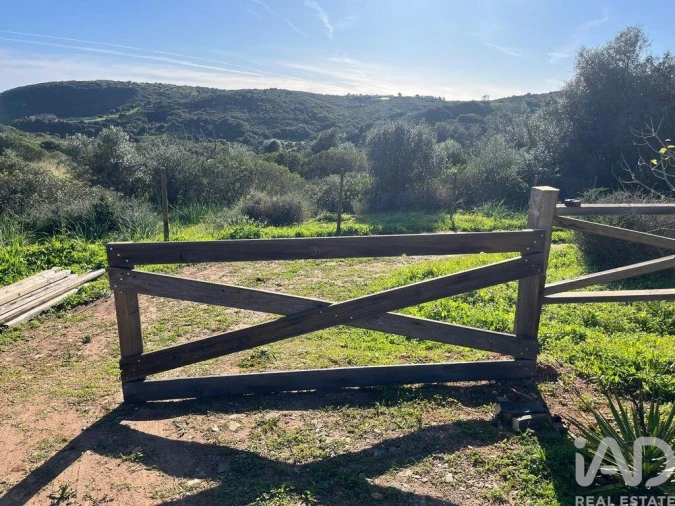 Terreno para Venda em Barão de São Miguel Foto 17