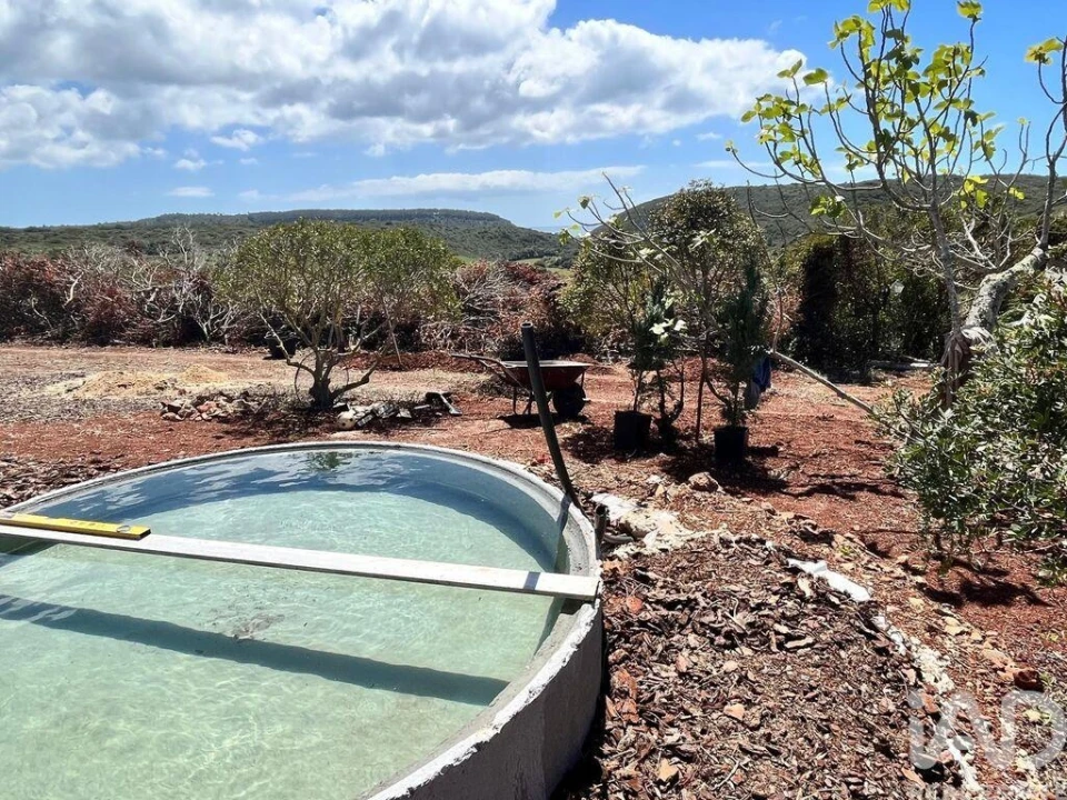 Terreno para Venda em Barão de São Miguel Foto 8