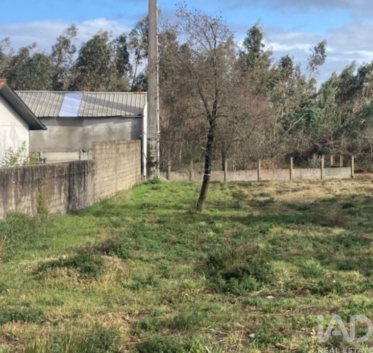 Terreno para Venda em Marinha Grande Foto 4