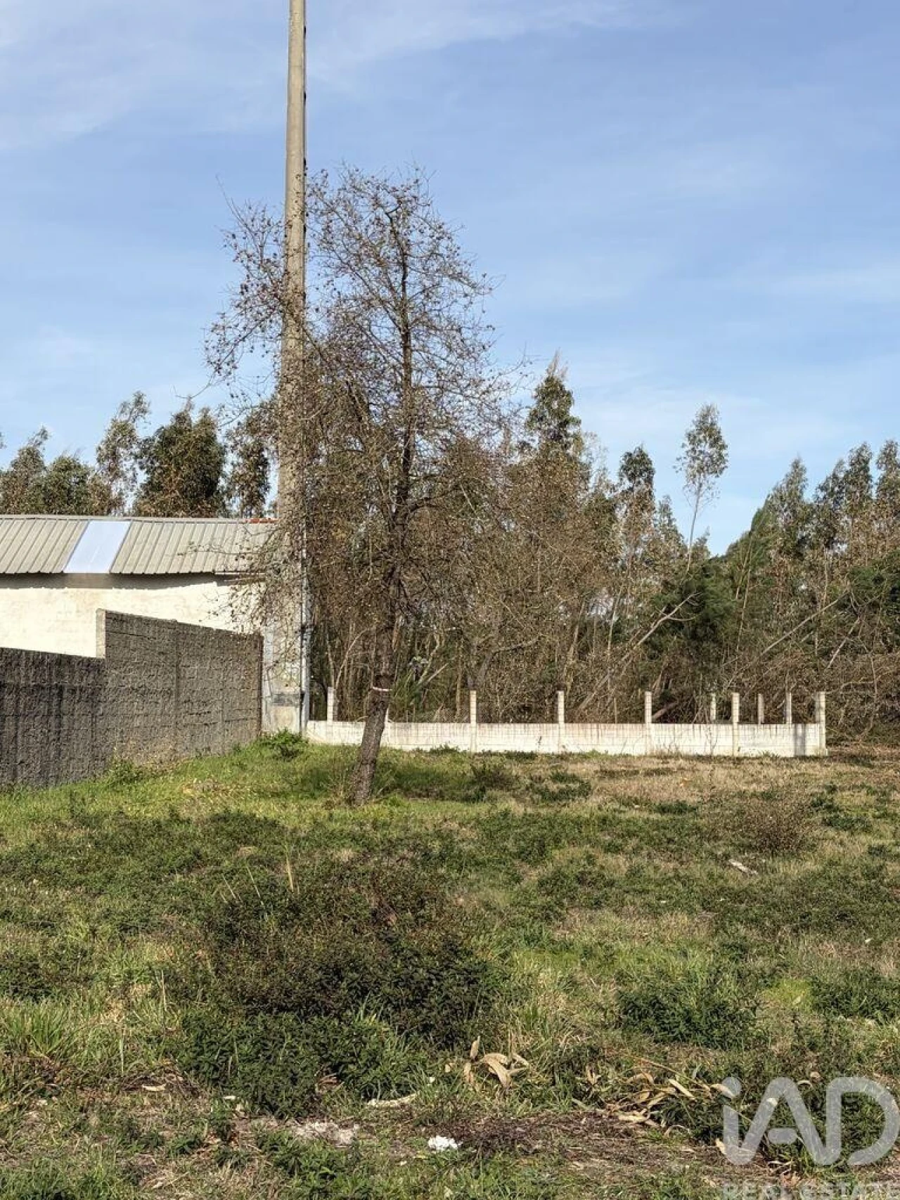 Terreno para Venda em Marinha Grande Foto 3