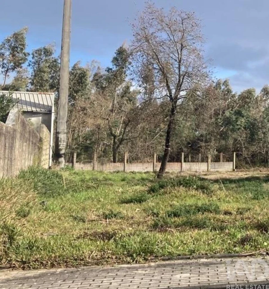 Terreno para Venda em Marinha Grande Foto 3