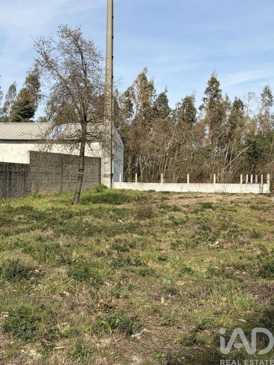 Terreno para Venda em Marinha Grande Foto 2