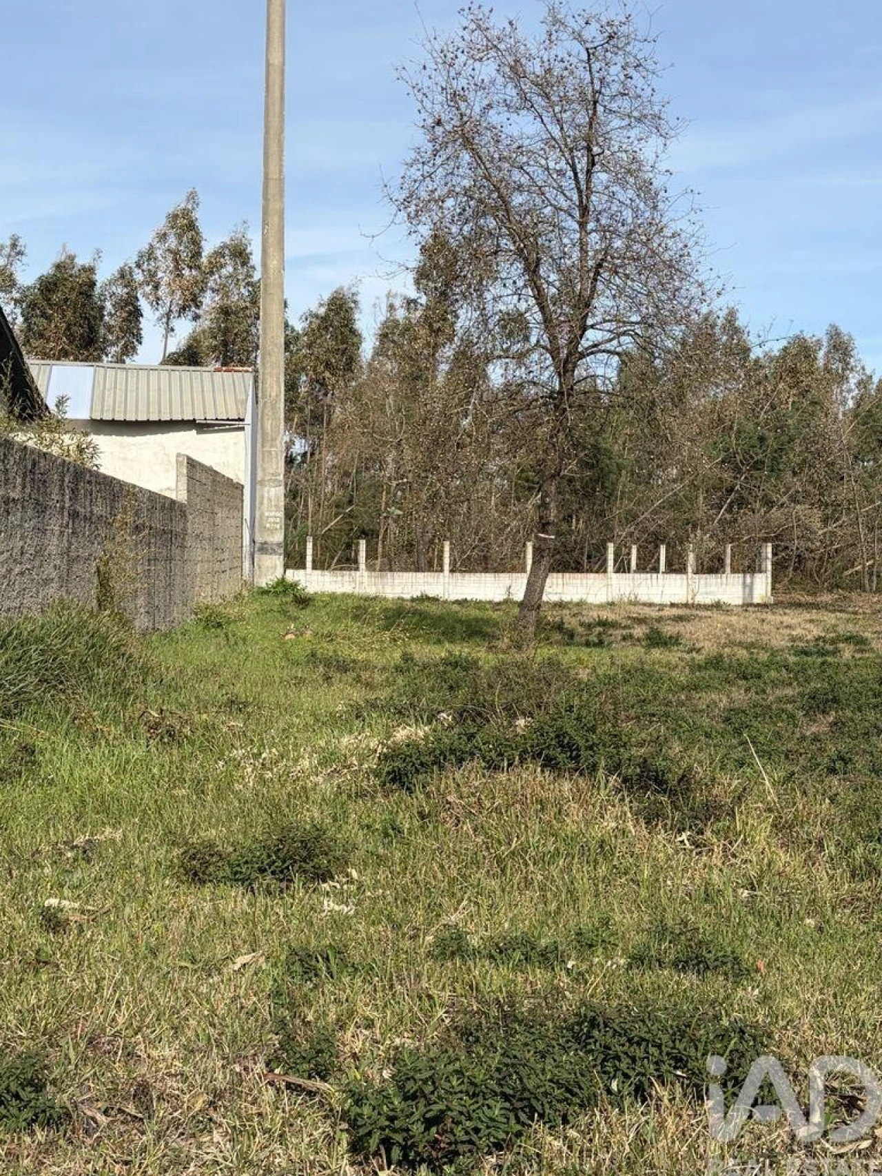 Terreno para Venda em Marinha Grande Foto 4