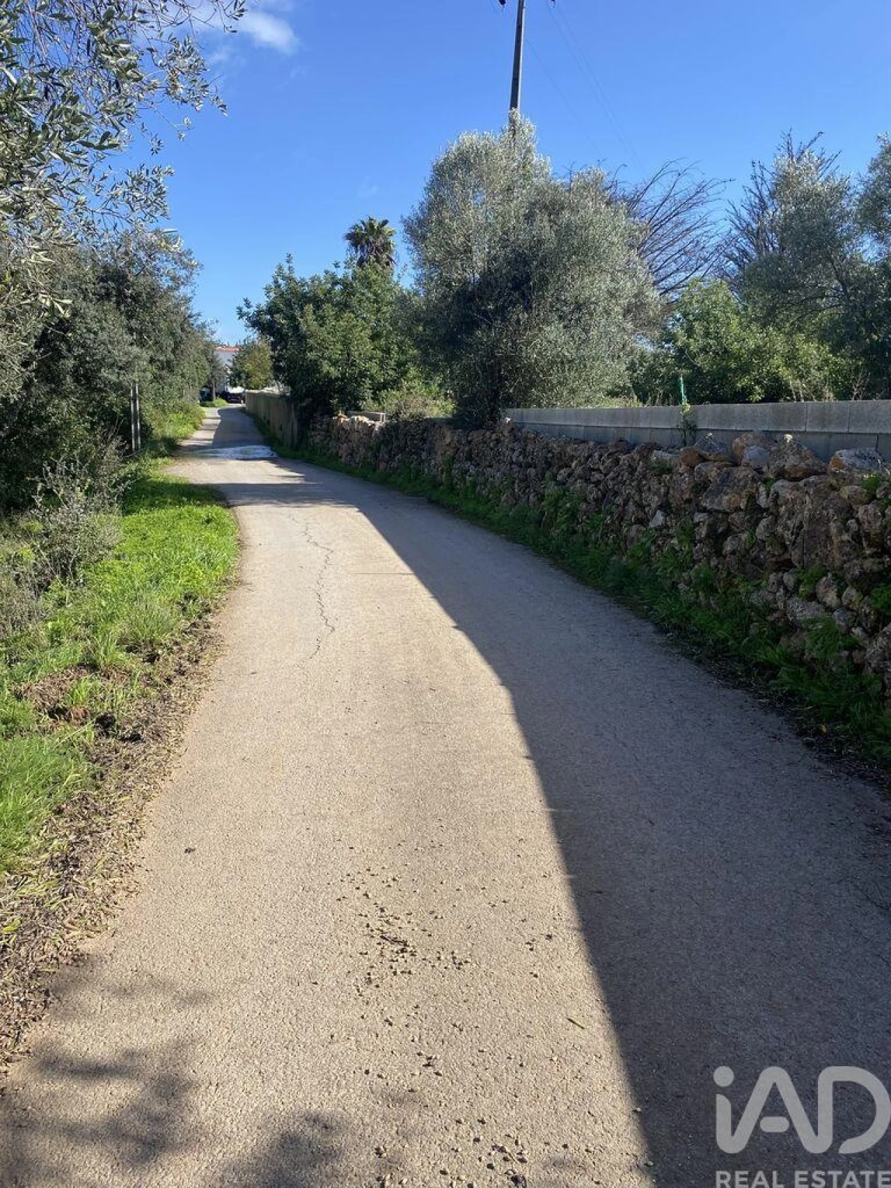 Terreno para Venda em São Brás de Alportel Foto 7