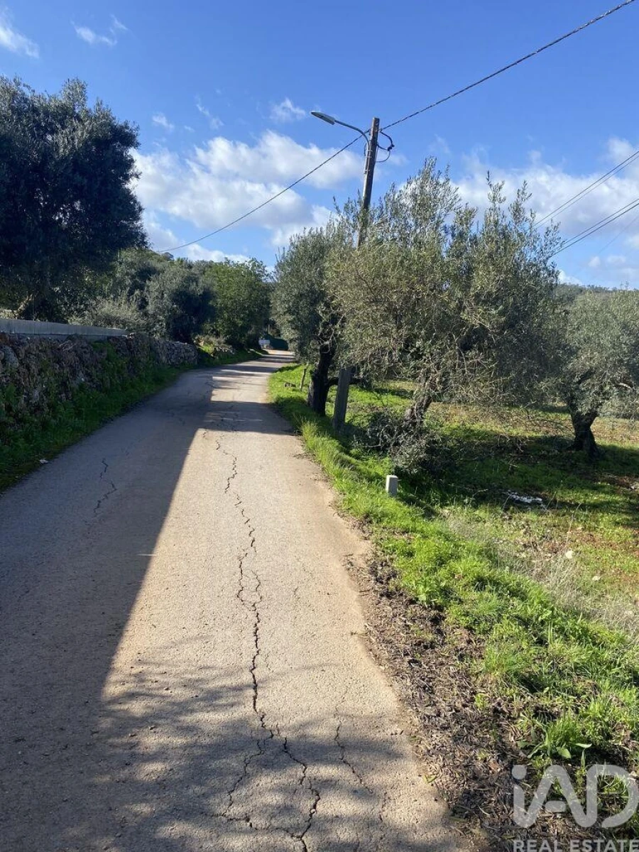 Terreno para Venda em São Brás de Alportel Foto 8