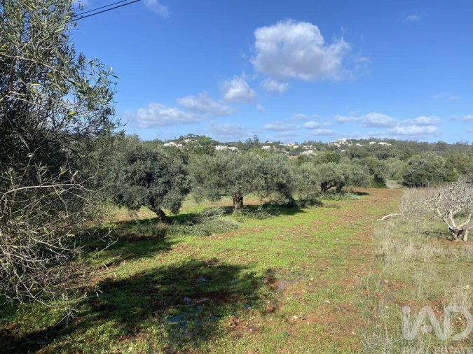 Terreno para Venda em São Brás de Alportel