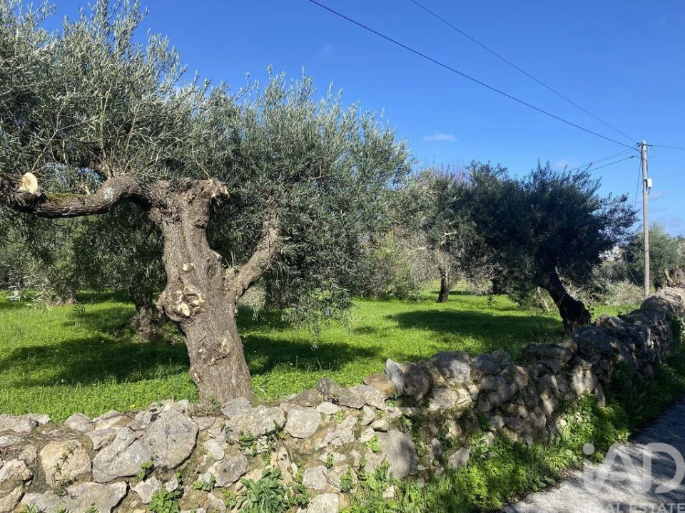 Terreno para Venda em São Brás de Alportel Foto 1