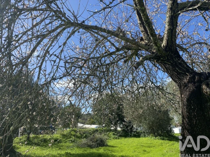 Terreno para Venda em São Brás de Alportel Foto 8