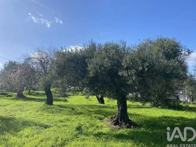 Terreno para Venda em São Brás de Alportel Foto 11