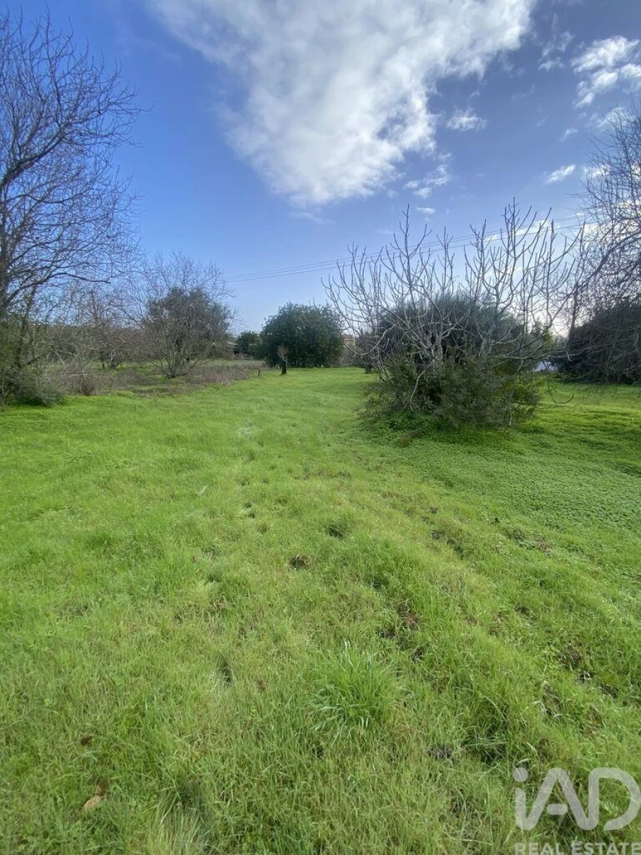 Terreno para Venda em São Brás de Alportel Foto 4