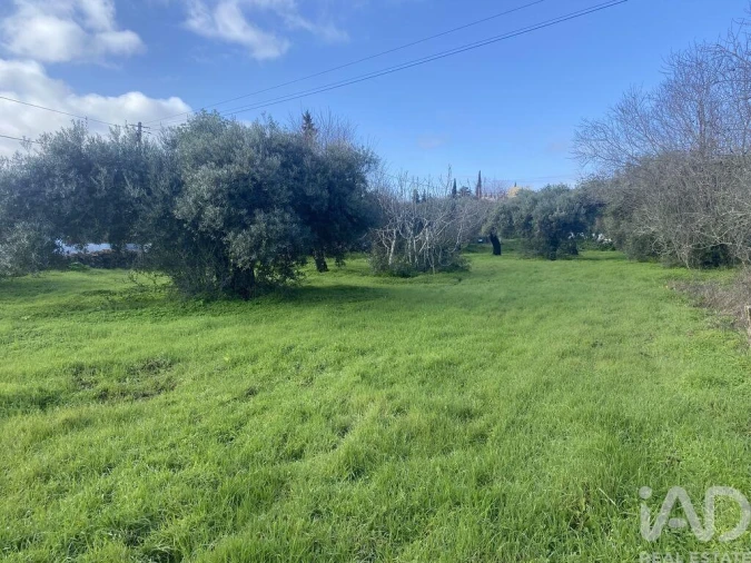 Terreno para Venda em São Brás de Alportel Foto 3
