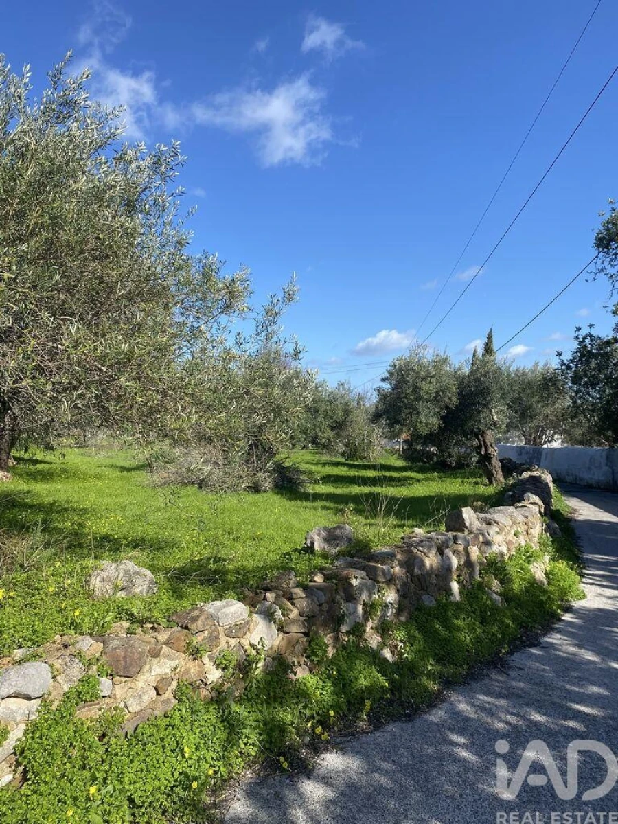 Terreno para Venda em São Brás de Alportel Foto 14