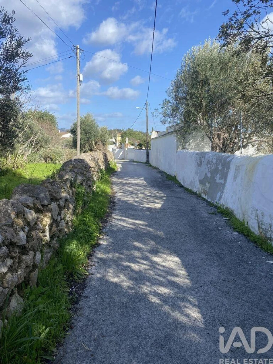 Terreno para Venda em São Brás de Alportel Foto 16