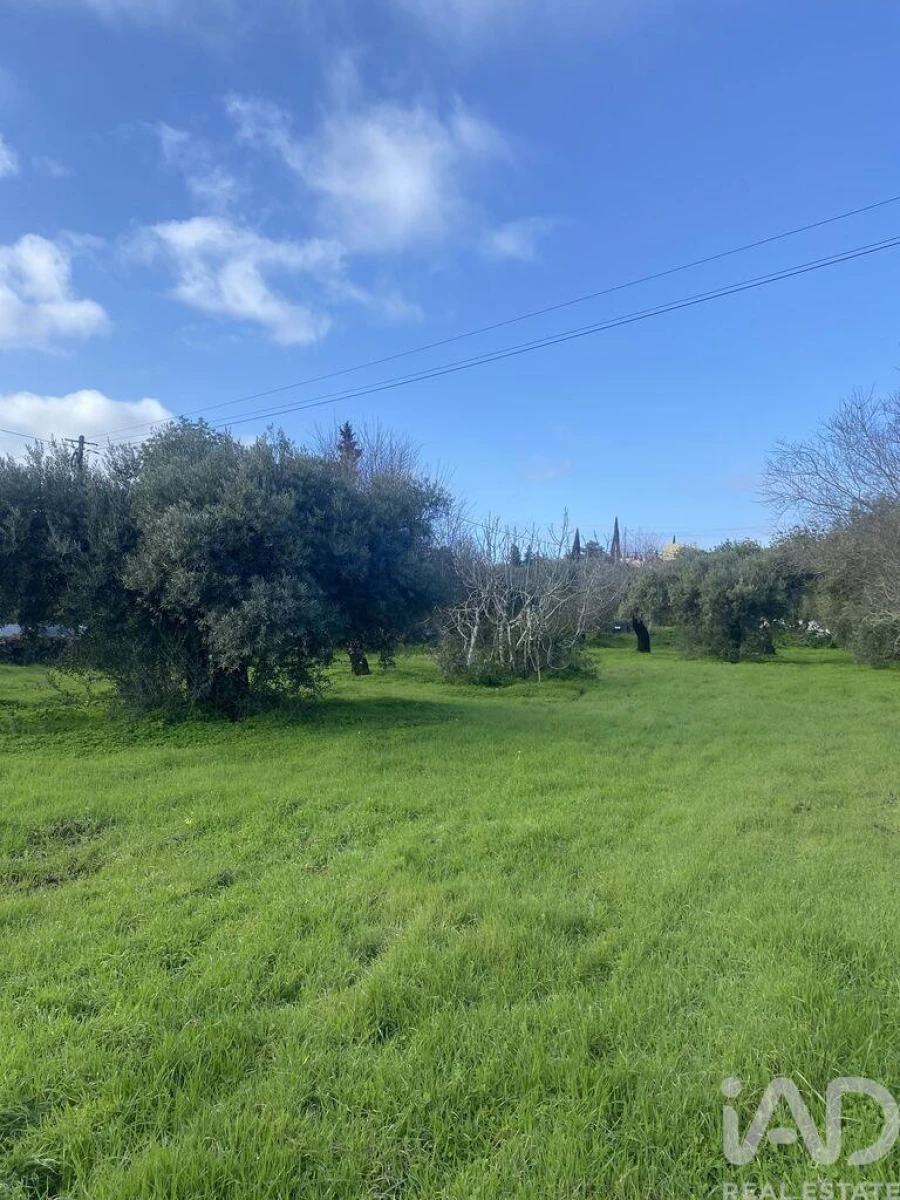 Terreno para Venda em São Brás de Alportel Foto 6