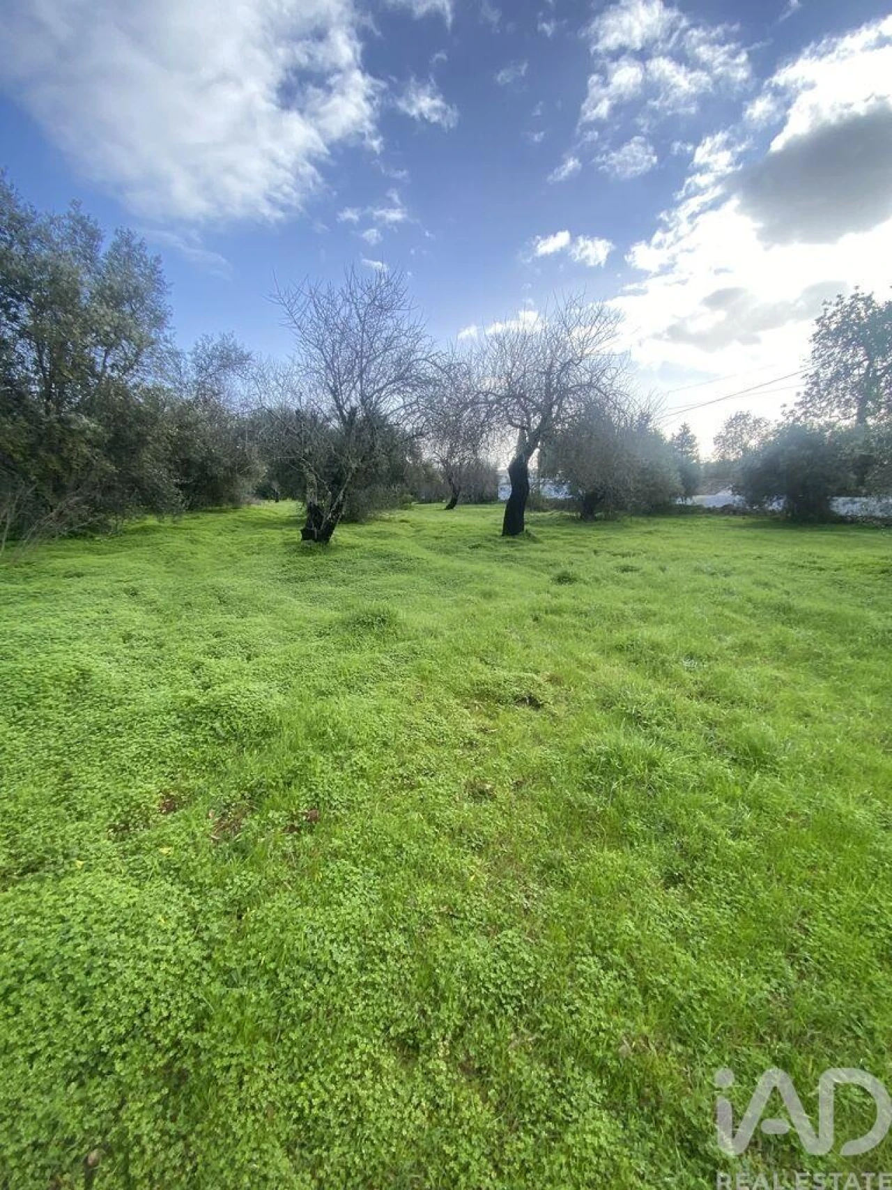Terreno para Venda em São Brás de Alportel Foto 2