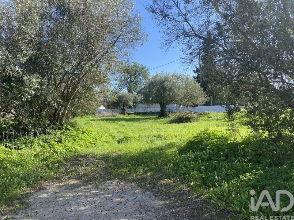Terreno para Venda em São Brás de Alportel Foto 5