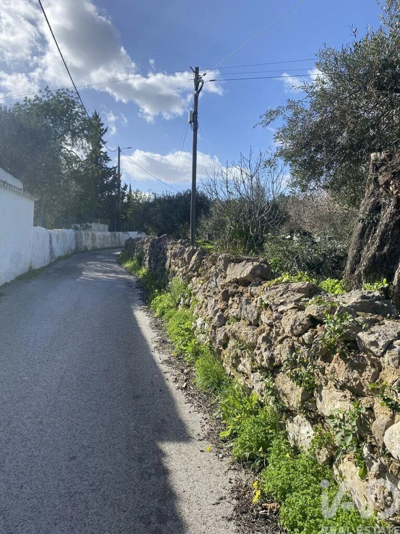Terreno para Venda em São Brás de Alportel Foto 15
