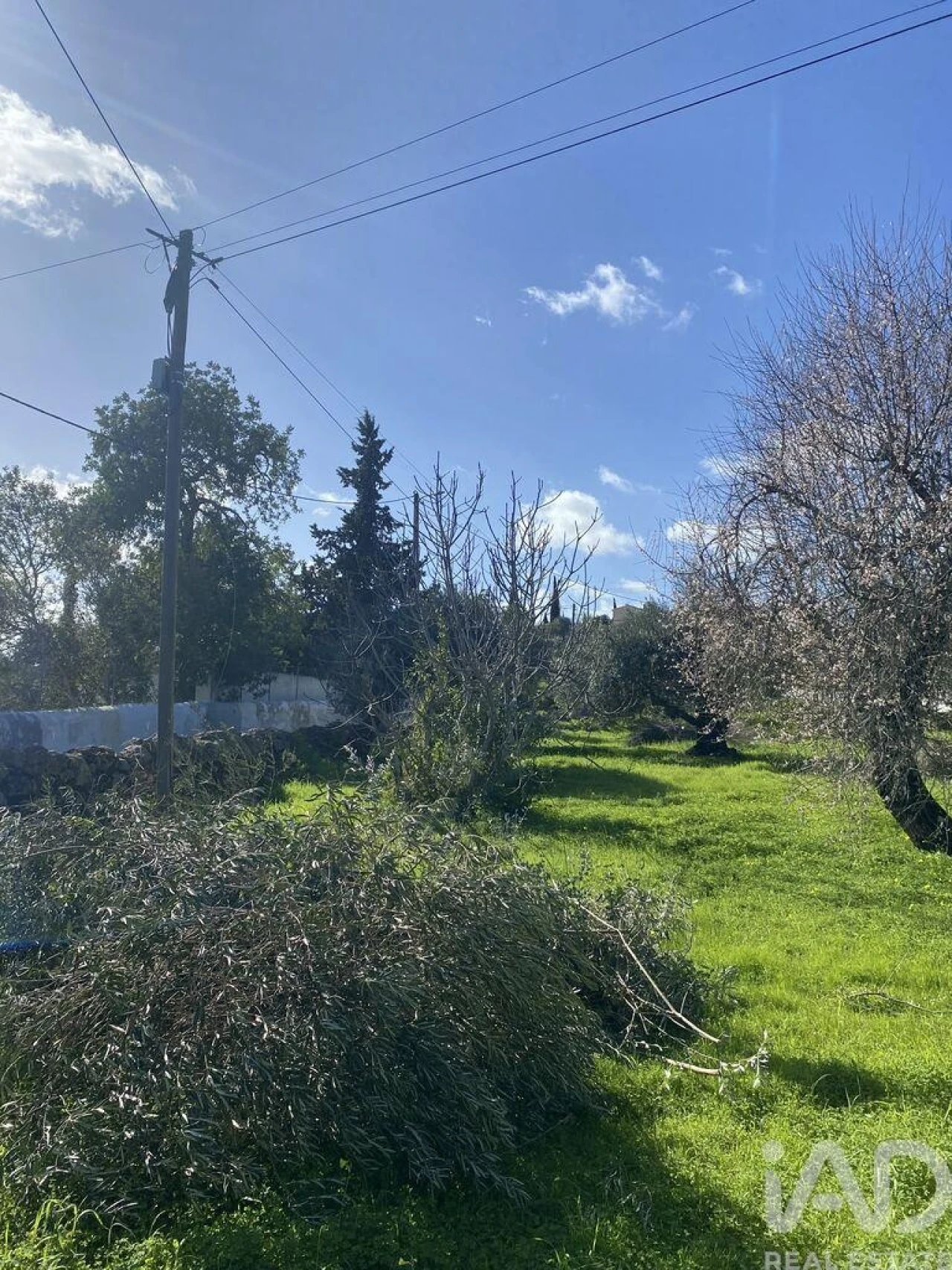 Terreno para Venda em São Brás de Alportel Foto 10