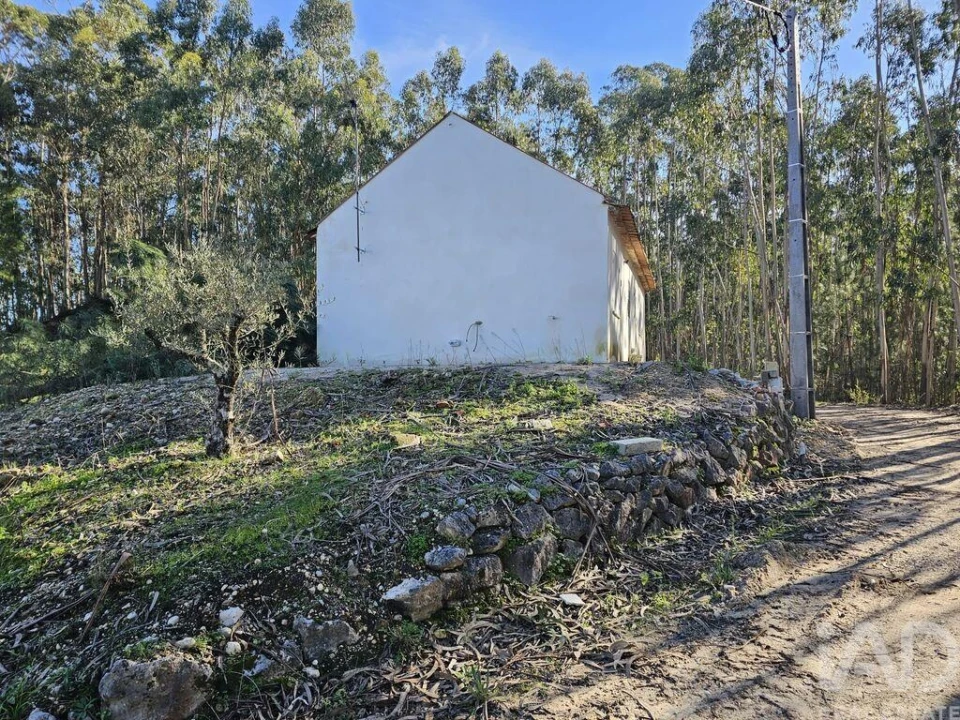 Moradia para Venda em Pombal Foto 11