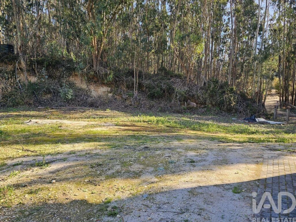 Moradia para Venda em Pombal Foto 9