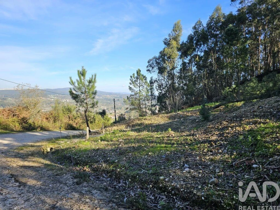 Moradia para Venda em Pombal Foto 14
