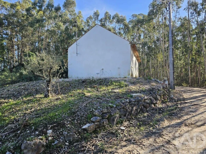 Moradia para Venda em Pombal Foto 11