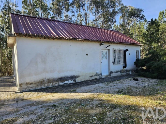 Moradia para Venda em Pombal Foto 15