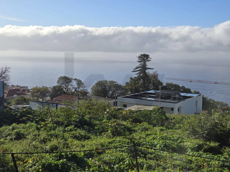 Terreno para Venda em Funchal (Santa Maria Maior) Foto 6