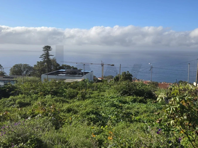 Terreno para Venda em Funchal (Santa Maria Maior) Foto 5