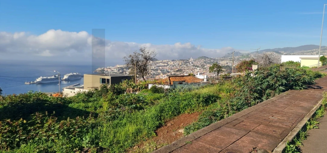 Terreno para Venda em Funchal (Santa Maria Maior) Foto 1