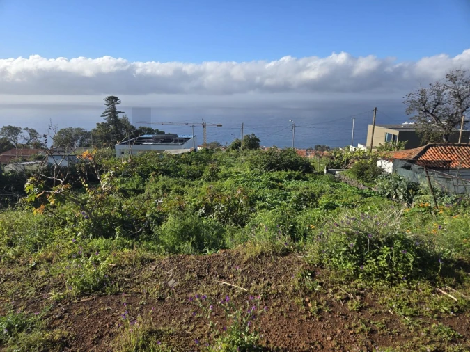 Terreno para Venda em Funchal (Santa Maria Maior) Foto 4