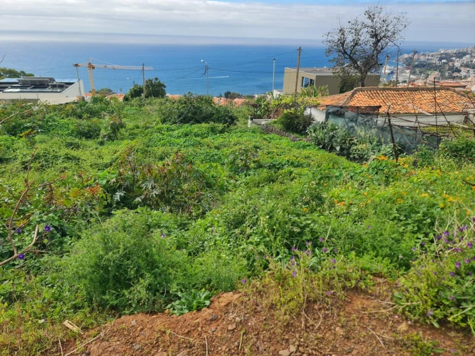 Terreno para Venda em Funchal (Santa Maria Maior) Foto 7