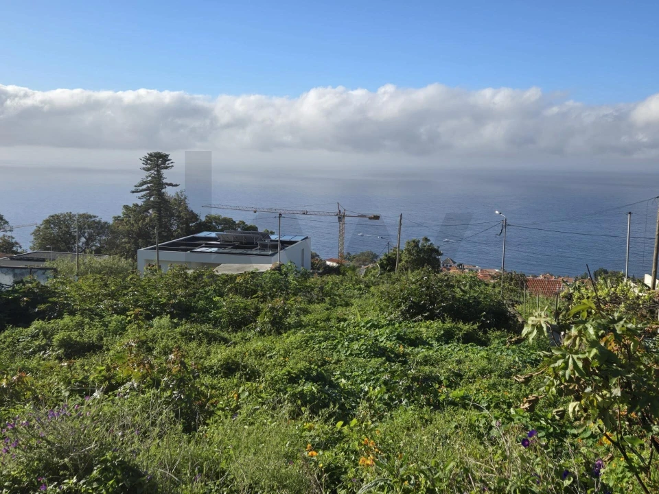 Terreno para Venda em Funchal (Santa Maria Maior) Foto 5