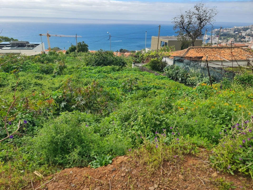 Terreno para Venda em Funchal (Santa Maria Maior) Foto 7