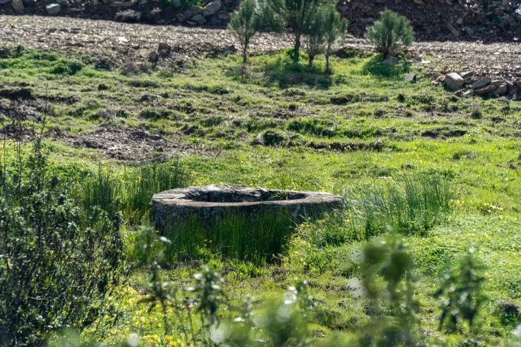 Terreno para Venda em Odeleite Foto 27