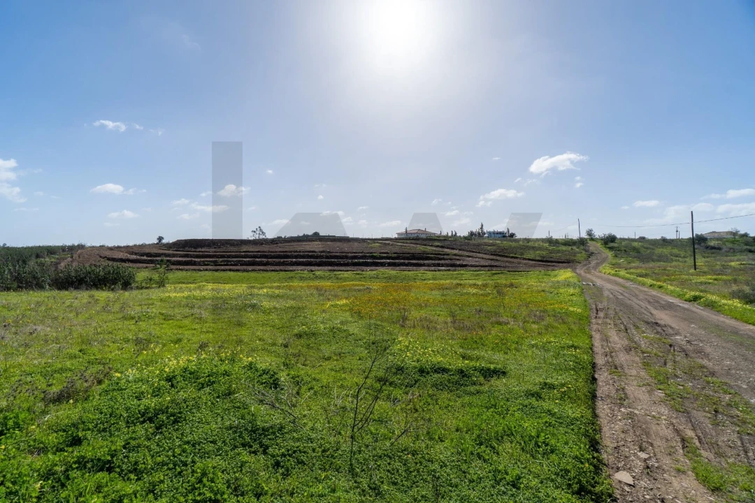 Terreno para Venda em Odeleite Foto 23