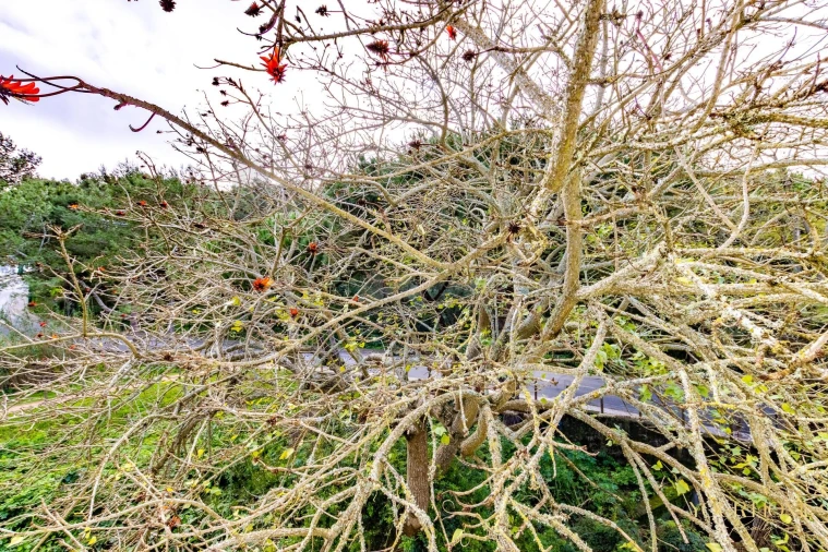 Moradia T4 para Arrendamento em Cascais e Estoril Foto 40