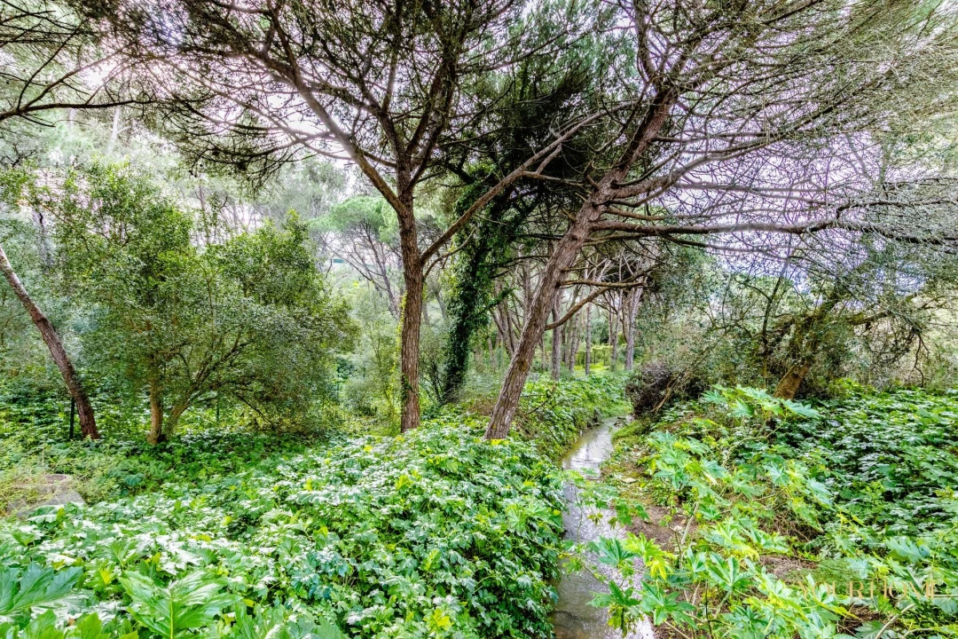 Moradia T4 para Arrendamento em Cascais e Estoril Foto 41